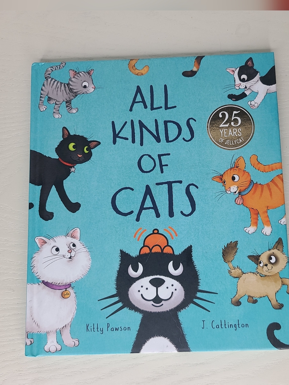 All Kinds of Cats Book Jellycat Kids Picture Book 25 Years